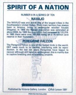 1991 Victoria Gallery Spirit of a Nation #8 Navajo     /      Peregrine Falcon Back