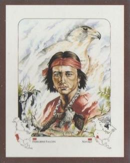 1991 Victoria Gallery Spirit of a Nation #8 Navajo     /      Peregrine Falcon Front