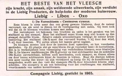 1934 Liebig Hoe en waarom de Bloemen Insecten aantrekken (How and Why Flowers Attract Insects) (Dutch Text) (F1287, S1290) #1 De Korenbloem - Centaurea cyanus Back