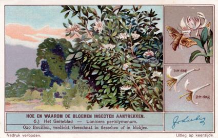 1934 Liebig Hoe en waarom de Bloemen Insecten aantrekken (How and Why Flowers Attract Insects) (Dutch Text) (F1287, S1290) #6 Het Geitebiad - Lonicera periclymenum Front