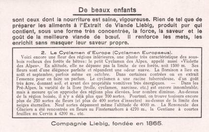 1936 Liebig Fleurs des Alpes (Alpine Flowers) (French Text) (F1349, S1335) #2 Le Cyclamen d'Europe (Cyclamen Europaeua) Back