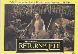 1983 Monty Fabrieken Return of the Jedi Mini Cards #25 Princess Leia Front