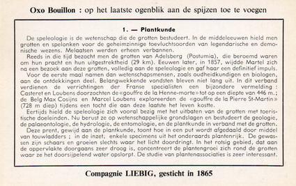 1956 Liebig Speleologie (Caving) (Dutch Text) (F1655, S1656) #1 Plantkunde Back