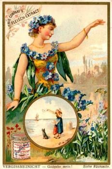 1892 Liebig Blumensprache III  (The Language of Flowers III) (F353, S349) #NNO Vergissmeinicht - gedenke mich Front