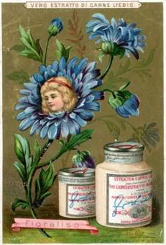 1890 Liebig Fleurs et têtes d'enfants (Girls' Heads in Flowers) (French Text) (F267, S267) #NNO Corn-flower Front