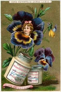 1890 Liebig Fleurs et têtes d'enfants (Girls' Heads in Flowers) (French Text) (F267, S267) #NNO Pansy Front