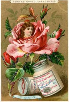 1890 Liebig Fleurs et têtes d'enfants (Girls' Heads in Flowers) (French Text) (F267, S267) #NNO Rose Front
