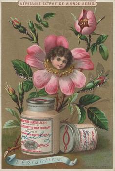 1890 Liebig Fleurs et têtes d'enfants (Girls' Heads in Flowers) (French Text) (F267, S267) #NNO Wild Rose Front