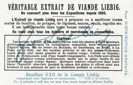 1907 Liebig Cacees (Cacti) (French Text) (F881, S882) #NNO Melon epineux (Melocacte). Echinocacte droit Back