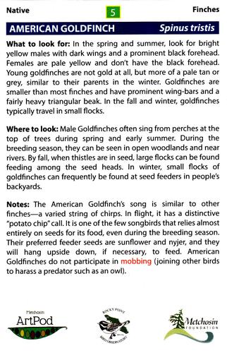 2020 Metchosin Birds #5 American Goldfinch Back