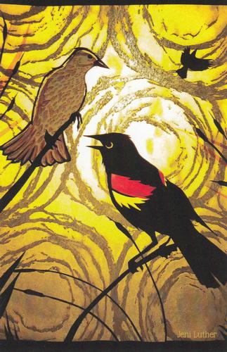 2020 Metchosin Birds #23 Red-winged Blackbird Front