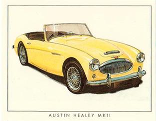 1995 Golden Era Austin Healey #5 3000 MKII Front
