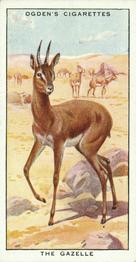 1932 Ogden's Colour In Nature #10 Gazelle Front
