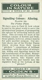 1932 Ogden's Colour In Nature #22 Pitcher Plant Back