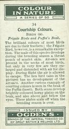 1932 Ogden's Colour In Nature #34 Frigate Birds and Puffin`s Beak Back