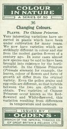 1932 Ogden's Colour In Nature #36 Chinese Primrose Back