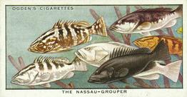 1932 Ogden's Colour In Nature #41 Nassau Grouper Front