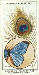 1932 Ogden's Colour In Nature #46 Peacock Feather and Butterfly Wing Front