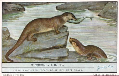 1941 Liebig Pelsdieren (Fur Animals) (Dutch Text) (F1425, S1486) #1 De Otter Front