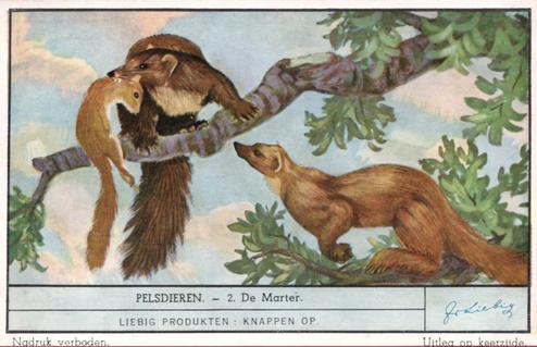 1941 Liebig Pelsdieren (Fur Animals) (Dutch Text) (F1425, S1486) #2 De Marter Front