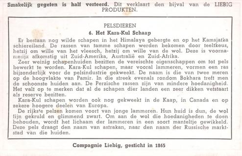 1941 Liebig Pelsdieren (Fur Animals) (Dutch Text) (F1425, S1486) #6 Het Kara-Kul Schaap Back