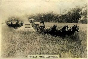 1925 Cavanders The Colonial Series #8 A Grenfell Wheat Farm, Australia Front