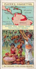 1908 Player's Products of the World #5 Cocoa Front