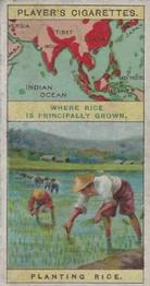 1908 Player's Products of the World #13 Rice Front