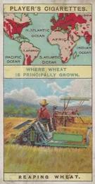 1908 Player's Products of the World #20 Wheat Front