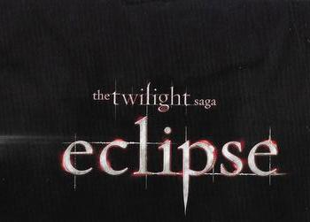 2010 NECA Twilight Eclipse Series 2 - Trio & Villains Puzzle #C-7 Esme Front