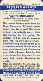 1963 Brooke Bond Dinosaurs (US Blue Backs) #36 Pachyrhinosaurus Back