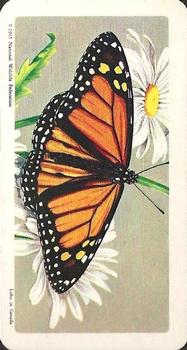 1965 Brooke Bond Butterflies of North America (USA Blue Backs) #5 Monarch Front