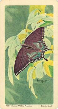 1965 Brooke Bond Butterflies of North America (USA Blue Backs) #38 Spicebush Swallowtail Front