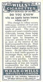 1924 Wills's Do You Know (2nd Series) #4 Do You Know why an Apple turns brown when cut? Back