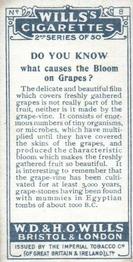 1924 Wills's Do You Know (2nd Series) #8 Do You Know what causes the Bloom on Grapes? Back