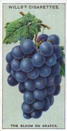 1924 Wills's Do You Know (2nd Series) #8 Do You Know what causes the Bloom on Grapes? Front