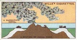 1924 Wills's Do You Know (2nd Series) #15 Do You Know how a Coral Reef is formed? Front