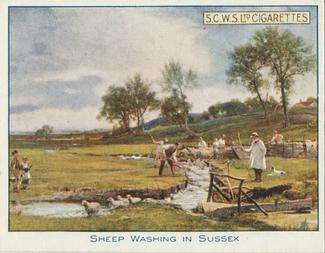 1924 Scottish Co-operative Wholesale Society (S.C.W.S.) Famous Pictures #3 Sheep Washing in Sussex Front