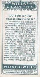 1926 Wills's Do You Know (3rd Series) #16 Electric Eel Back