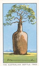 1934 Carreras Believe it or Not #9 The Australian Bottle Tree Front