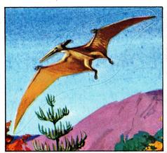 1978 Rowntree Mackintosh Prehistoric Animals Stickers #4 Pteranodon Front