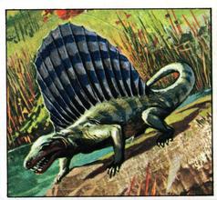 1978 Rowntree Mackintosh Prehistoric Animals Stickers #5 Dimetrodon Front