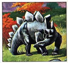 1978 Rowntree Mackintosh Prehistoric Animals Stickers #14 Stegosaurus Front