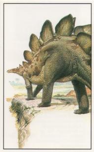 1994 Jacob's Biscuits School of Dinosaurs #3 Stegosaurus Front
