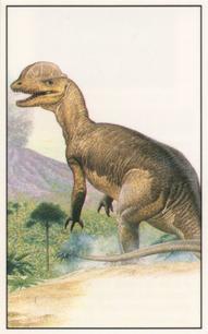 1994 Jacob's Biscuits School of Dinosaurs #7 Dilophosaurus Front