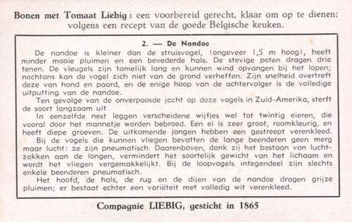 1953 Liebig Loopvogels (Flightless Birds) (Dutch Text) (F1570, S1580) #2 De Nandoe Back