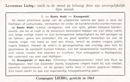 1954 Liebig De Apen (Monkeys) (Dutch Text) (F1601, S1604) #1 Bonte Maki - Knaagmaki Back