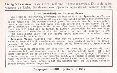 1954 Liebig De Apen (Monkeys) (Dutch Text) (F1601, S1604) #2 Spookdiertje - Javaanse Makak Back