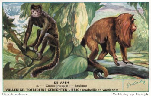 1954 Liebig De Apen (Monkeys) (Dutch Text) (F1601, S1604) #3 Capucijnaapje - Brulaap Front