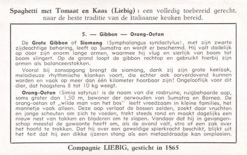 1954 Liebig De Apen (Monkeys) (Dutch Text) (F1601, S1604) #5 Gibbon - Orang-Oetan Back